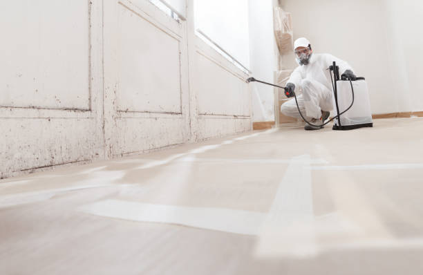 Trusted Crawl Space Mold Removal service in Stirling, NJ - WQB Mold Removal